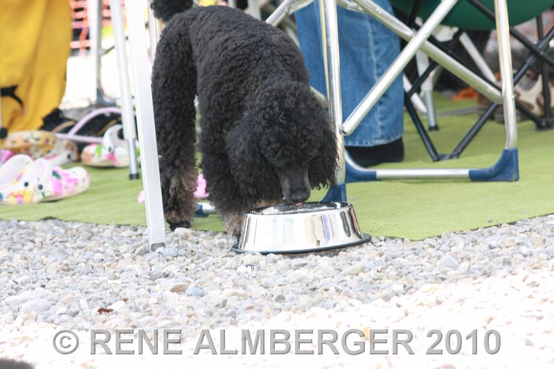 Bild 414.jpg